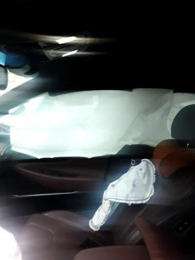 2020 Hyundai Santa FE KMHS581ABLU203541 VIN:KMHS581ABLU203541