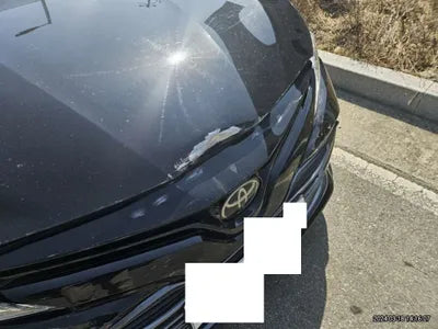 2019 Toyota Camry JTNB11HKXK3087825 VIN:JTNB11HKXK3087825