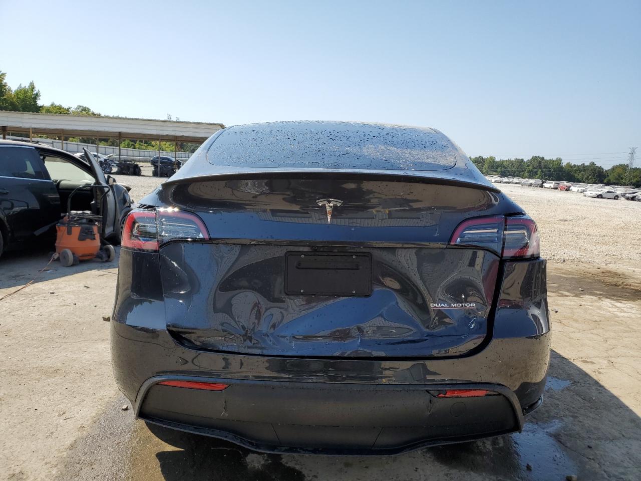 2024 TESLA MODEL Y  VIN:7SAYGDEF5RF038666