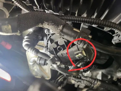 2021 BMW 220 WBA31AL00M7J80036 VIN:WBA31AL00M7J80036