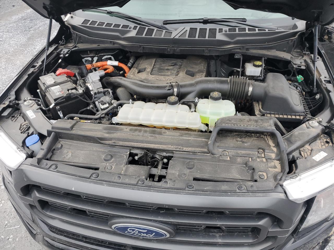 2023 FORD F150 SUPERCREW VIN:1FTFW1ED3PFB94816