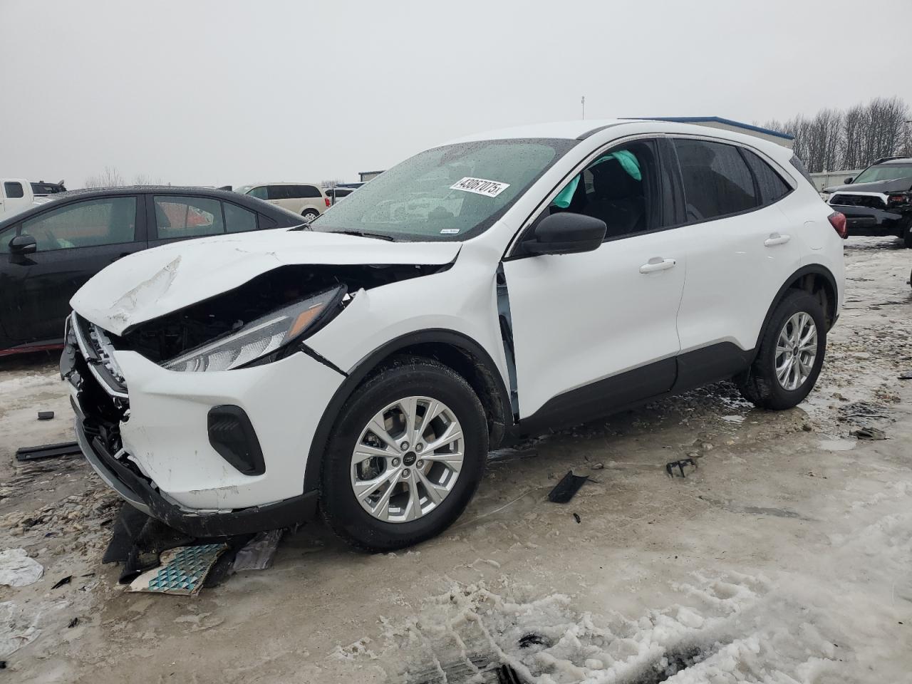 2024 FORD ESCAPE ACTIVE VIN:1FMCU9GN7RUA80101
