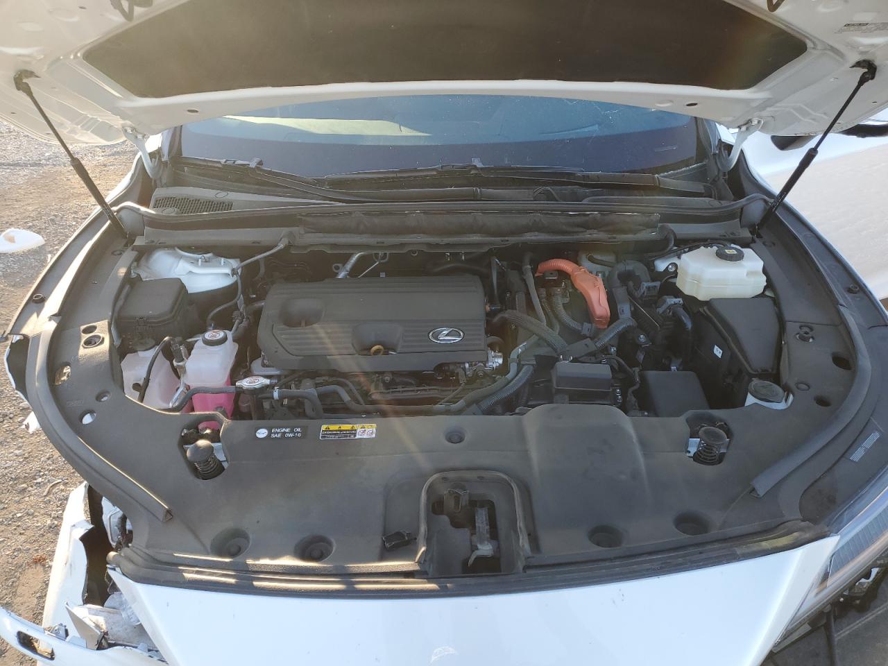 2024 LEXUS RX 350H BASE VIN:2T2BBMCA2RC025740
