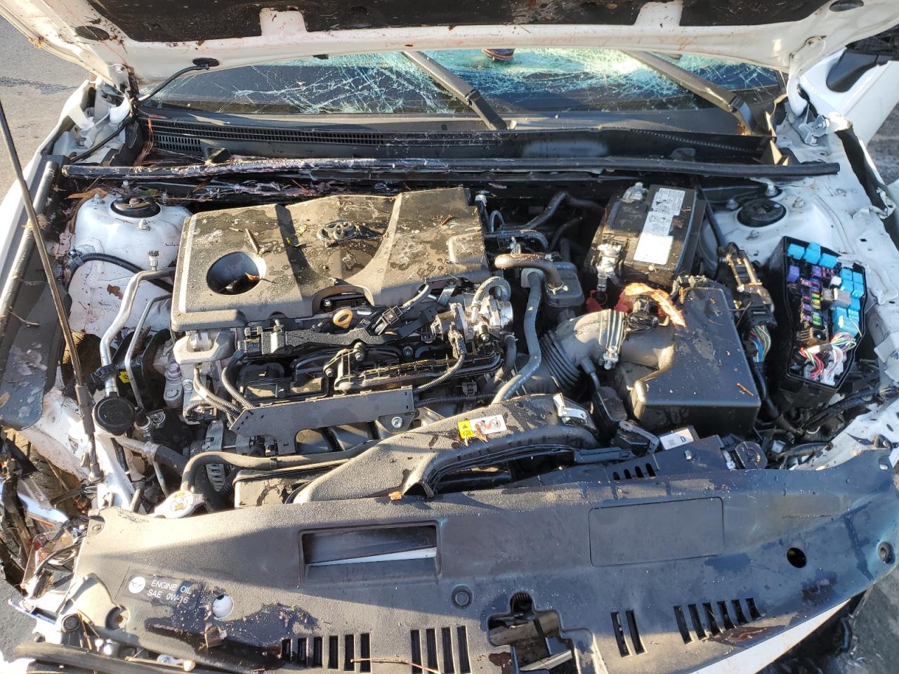 2023 TOYOTA CAMRY LE VIN:4T1C11AK0PU133839