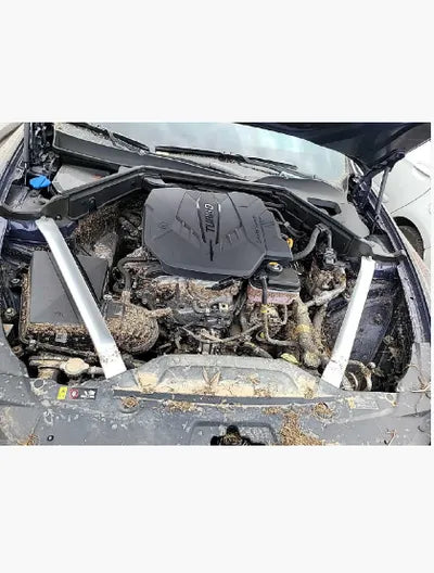 2021 Kia Stinger KNAE351DDMS111434 VIN:KNAE351DDMS111434
