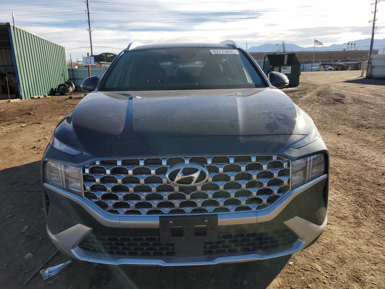 2023 HYUNDAI SANTA FE SEL PREMIUM VIN:5NMS3DAJ1PH519177