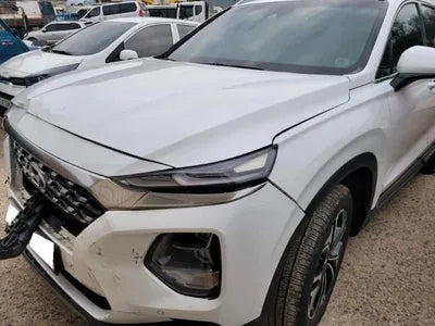 2019 Hyundai Santa FE KMHS381CBKU066794 VIN:KMHS381CBKU066794