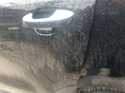 2021 Kia Sorento KNARH81BGMA076817 VIN:KNARH81BGMA076817