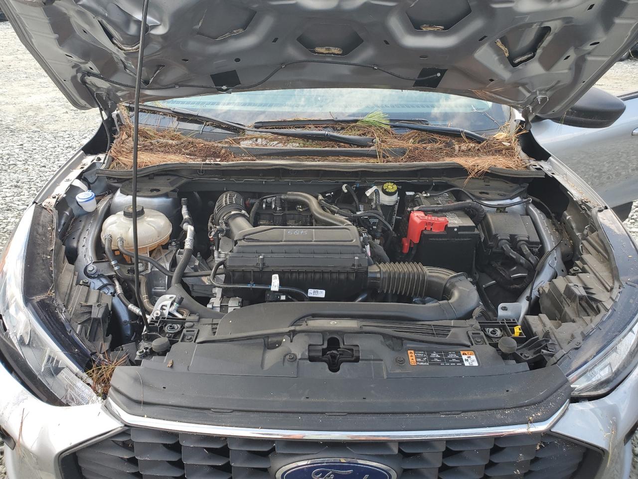 2023 FORD ESCAPE ACTIVE VIN:1FMCU0GN6PUA23994