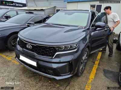 2020 Kia Sorento KNARL81GBMA007683 VIN:KNARL81GBMA007683
