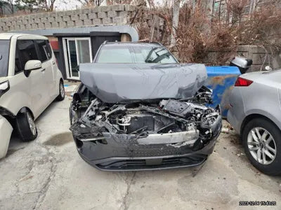2019 Hyundai Kona KMHK381GFKU060030 VIN:KMHK381GFKU060030
