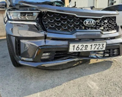 2021 Kia Sorento KNARL81BGMA078047 VIN:KNARL81BGMA078047