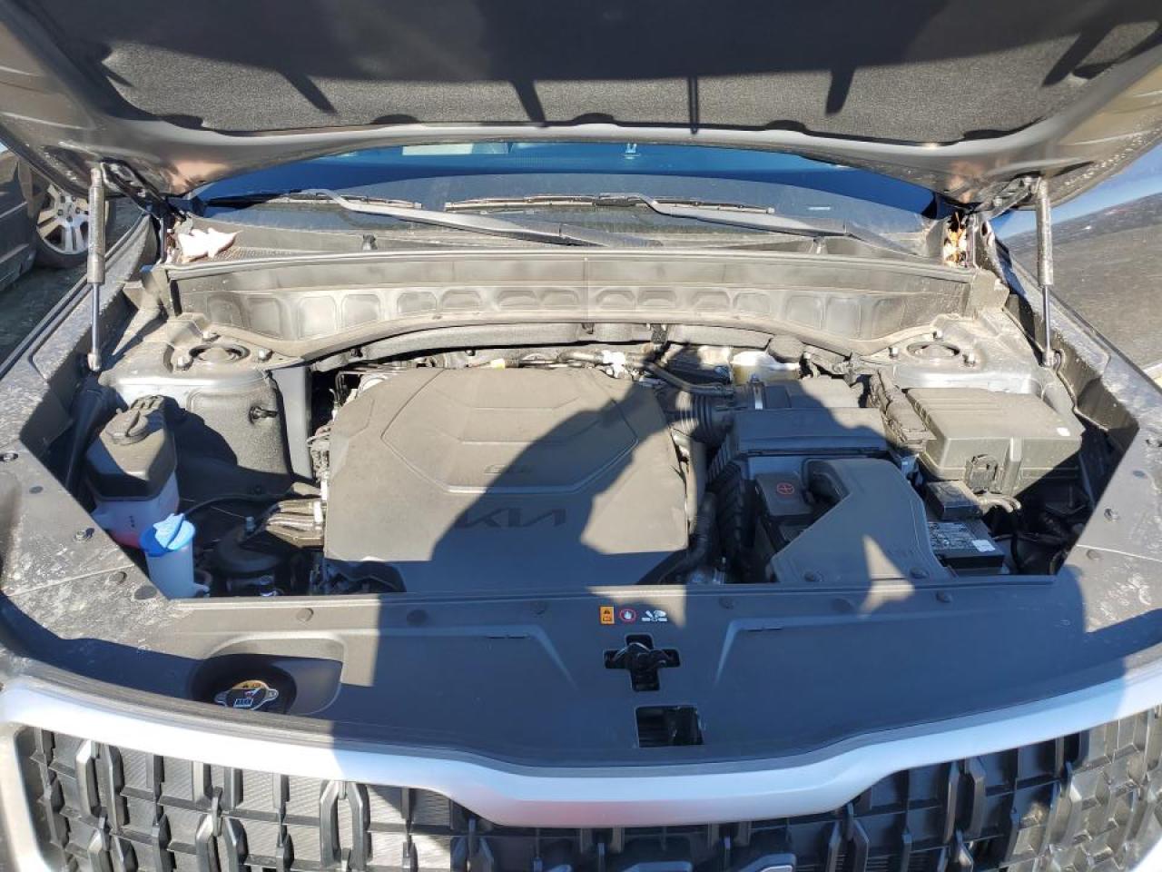 2024 KIA TELLURIDE LX VIN:5XYP24GC0RG553481