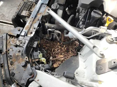 2020 Genesis G90 VIN: