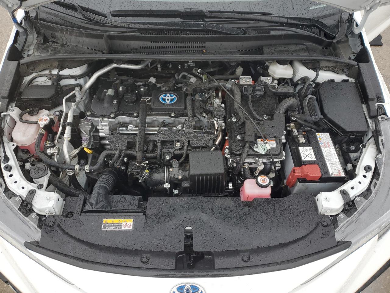 2023 TOYOTA COROLLA LE VIN:JTDBDMHE1P3007343