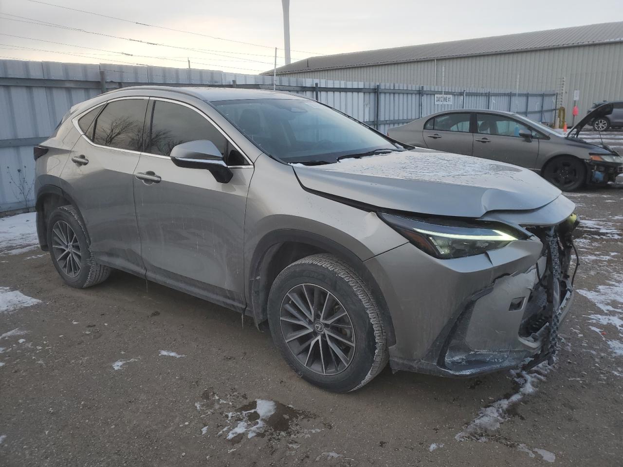 2023 LEXUS NX 250 VIN:2T2ADCEZ7PC003135
