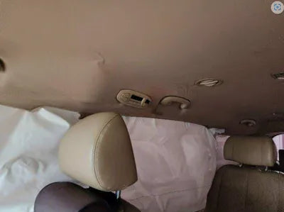 2019 Kia Carnival KNAMB81ABKS474196 VIN:KNAMB81ABKS474196