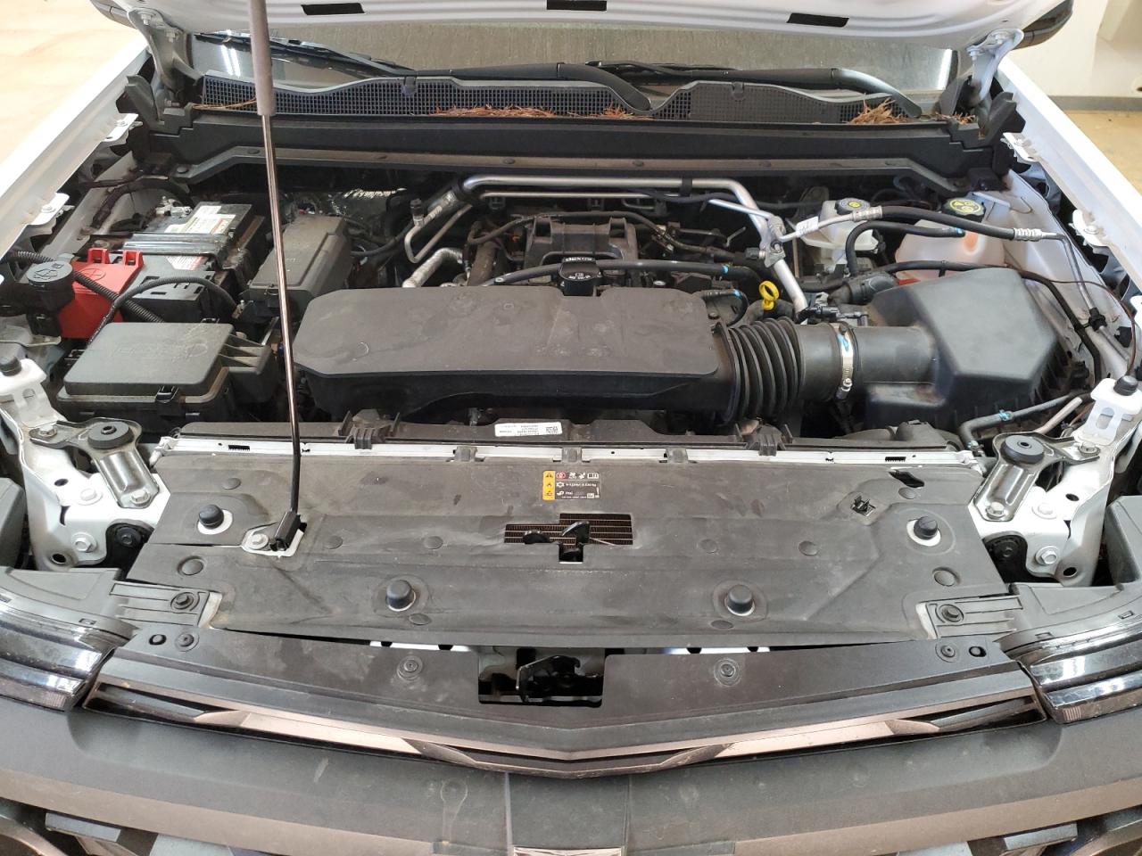 2023 CHEVROLET COLORADO  VIN:1GCPTBEKXP1149354