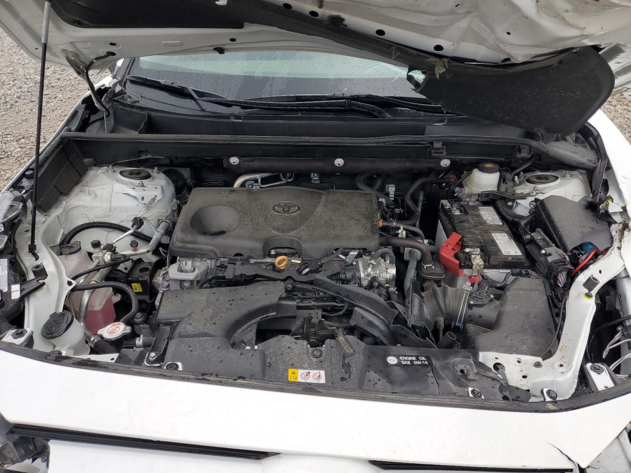 2024 TOYOTA RAV4 XLE VIN:2T3W1RFV4RC272074