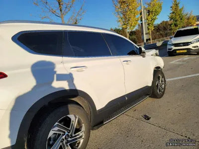 2021 Hyundai Santa FE KMHS381HGMU399703 VIN:KMHS381HGMU399703
