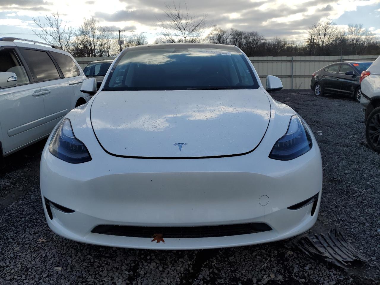 2024 TESLA MODEL Y  VIN:7SAYGDEE0RA328625
