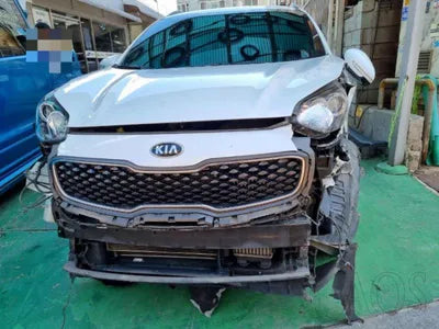 2016 Kia Sportage KNAPR813BGK013950 VIN:KNAPR813BGK013950
