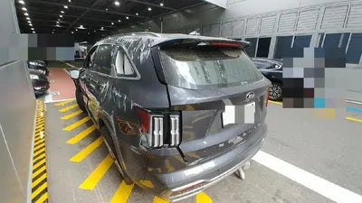 2020 Kia Sorento KNARG81BGMA017381 VIN:KNARG81BGMA017381