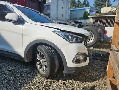 2018 Hyundai Santa FE KMHSW81UDJU828557 VIN:KMHSW81UDJU828557