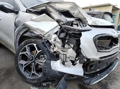 2019 Kia Sportage KNAPN813BKK659731 VIN:KNAPN813BKK659731