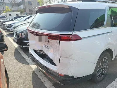 2022 Kia Carnival KNANE81BBNS166263 VIN:KNANE81BBNS166263