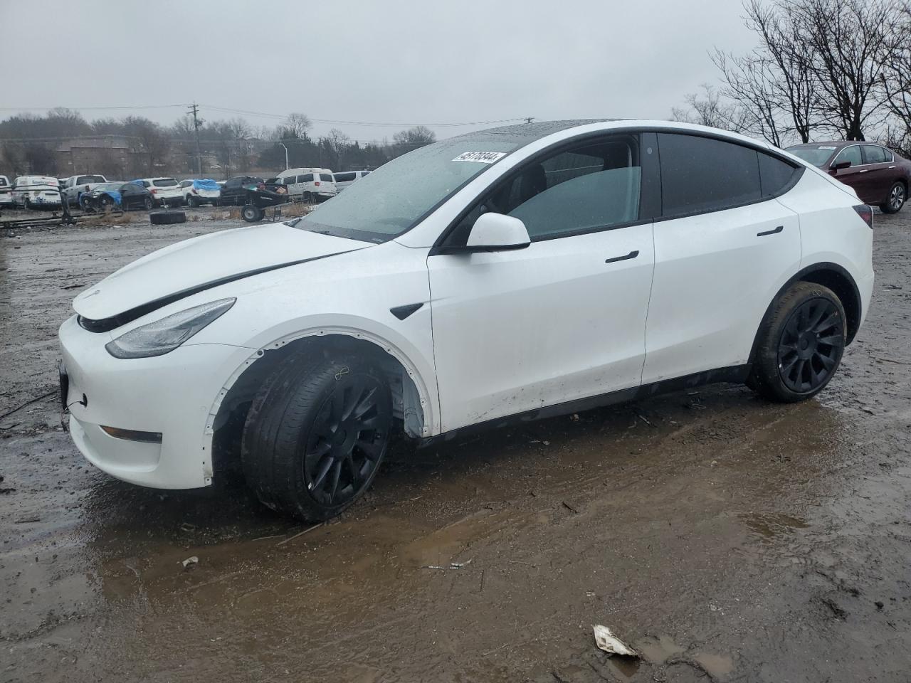 2022 TESLA MODEL Y  VIN:7SAYGAEE1NF431788