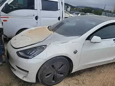 2020 Tesla Model 3 NONE VIN:
