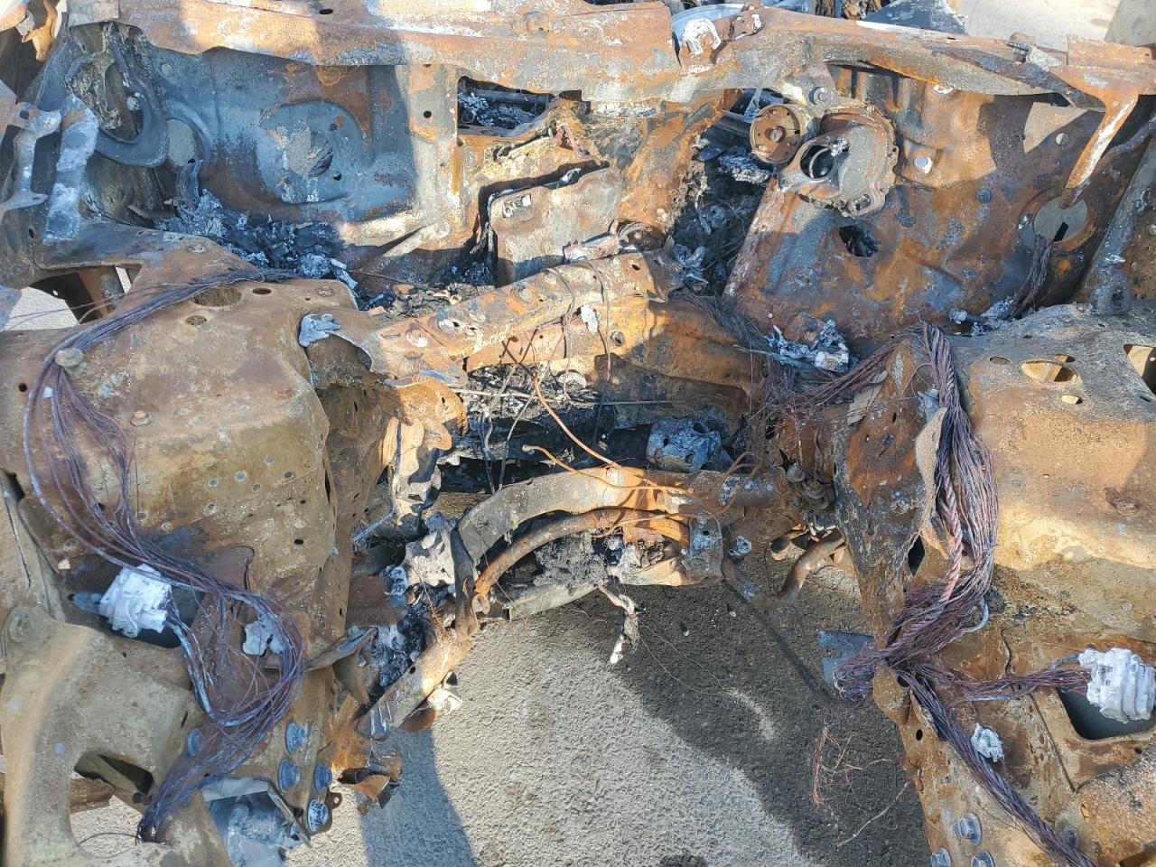 2024 TESLA MODEL Y  VIN:7SAYGDEDXRF111335