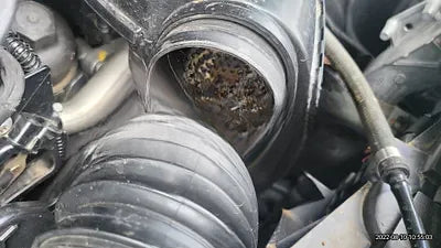 2020 Mercedes-Benz E 220 NONE VIN: