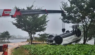 2022 Kia Sorento KNARL81FGNA122687 VIN:KNARL81FGNA122687