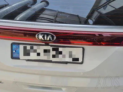 2020 Kia Carnival KNANC81BBMS015175 VIN:KNANC81BBMS015175