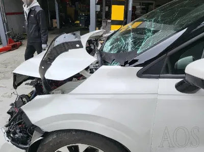 2021 Kia Carnival KNANC81BBMS128216 VIN:KNANC81BBMS128216