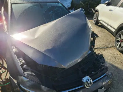 2016 Volkswagen Golf WVWZZZAUZGW101374 VIN:WVWZZZAUZGW101374