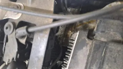 2021 BMW 320 WBA51BG0XM9H44453 VIN:WBA51BG0XM9H44453