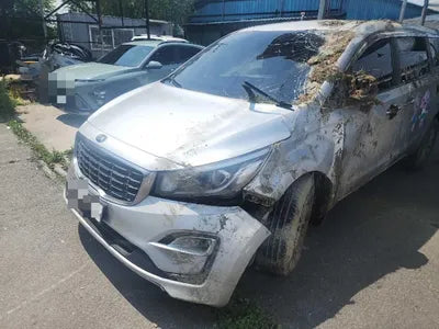 2019 Kia Carnival VIN: