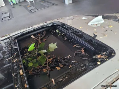 2017 BMW 320 WBA8T3105HG799641 VIN:WBA8T3105HG799641