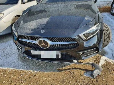 2019 Mercedes-Benz CLS 450 VIN: