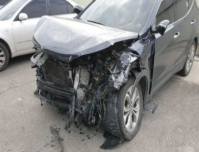 2015 Hyundai Santa FE KMHSW81XDFU418422 VIN:KMHSW81XDFU418422