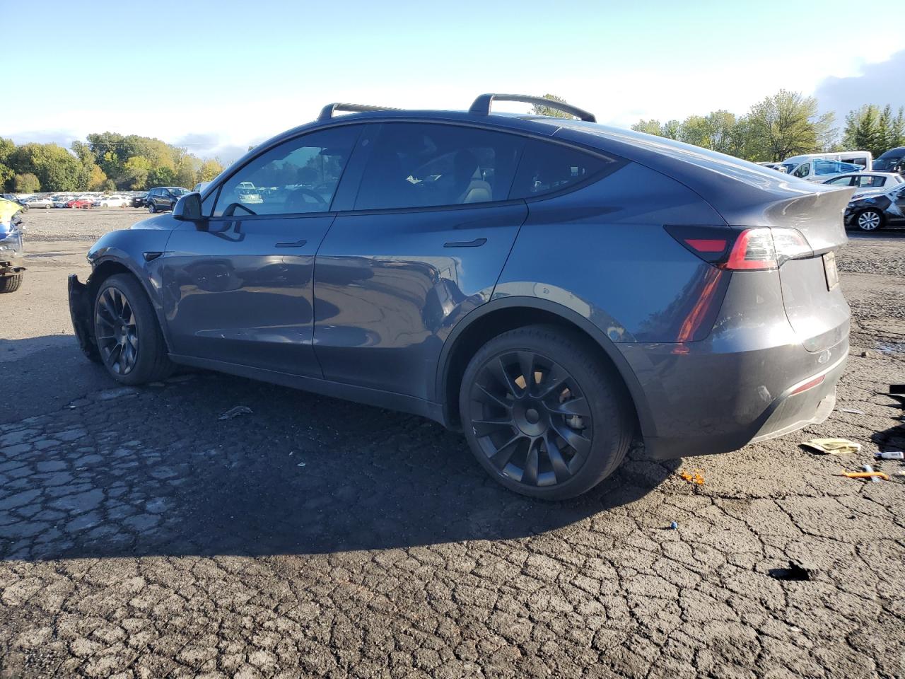 2023 TESLA MODEL Y  VIN:7SAYGDEEXPF598767