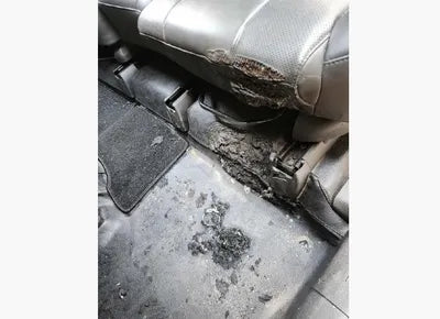 2021 Hyundai Santa FE KMHS381HGMU317830 VIN:KMHS381HGMU317830