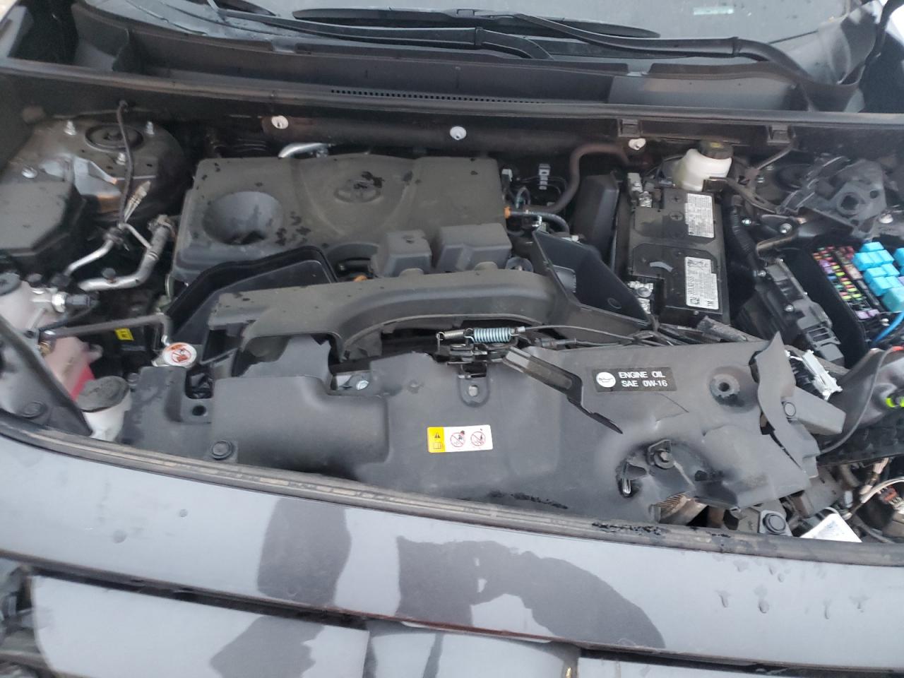 2024 TOYOTA RAV4 XLE VIN:2T3P1RFV5RW430991