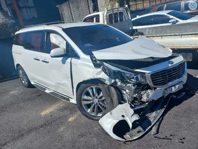 2016 Kia Carnival KNAMB81ABGS220173 VIN:KNAMB81ABGS220173