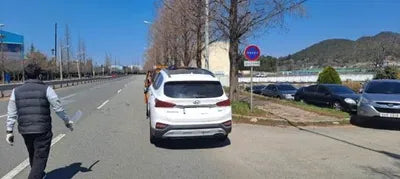 2019 Hyundai Santa FE KMHS381BBKU185727 VIN:KMHS381BBKU185727
