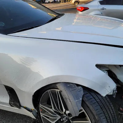2021 Kia Stinger KNAE351DDMS099818 VIN:KNAE351DDMS099818