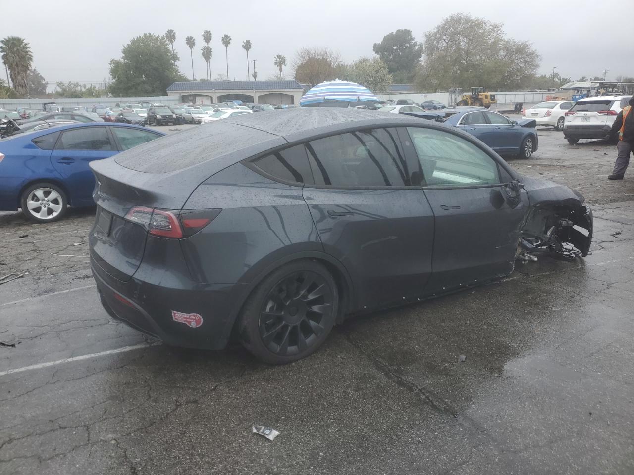 2024 TESLA MODEL Y  VIN:7SAYGDED5RF054851